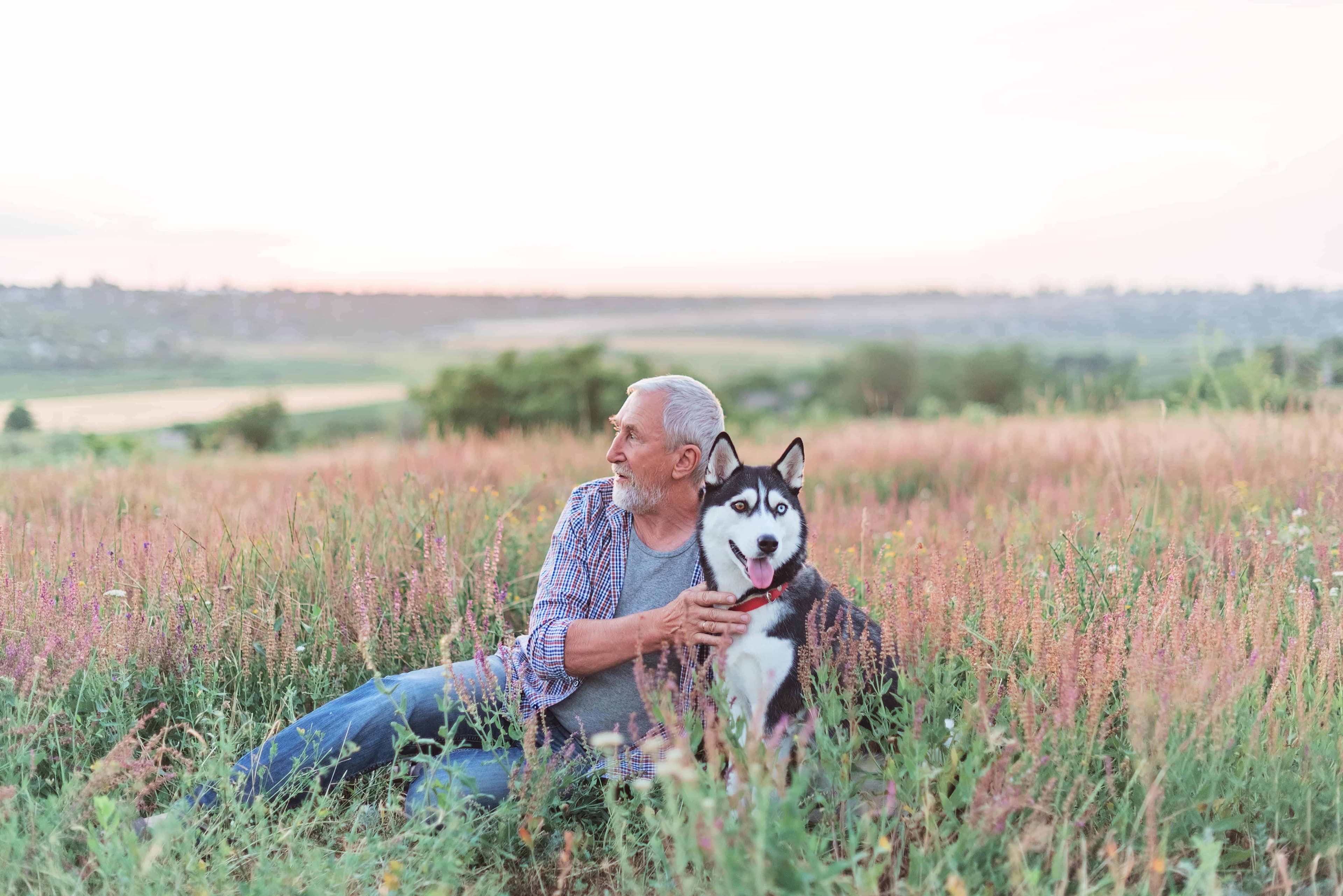 Sesame Allergy and Natasha's Law: Navigating Hidden Seeds in UK Food